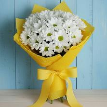 Букет цветов из:  Хризантемы в Пристень