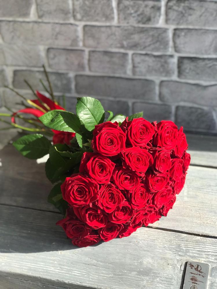 Букет Красные розы Фридом в Пристень