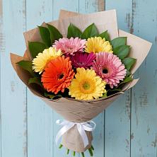 Букет цветов из:  Герберы в Пристень