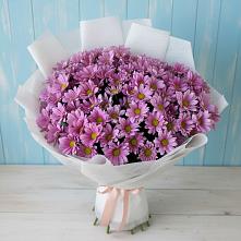 Букет цветов из:  Хризантемы в Пристень