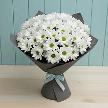 Букет цветов из:  Хризантемы #REPLACE_PRED# Пристень