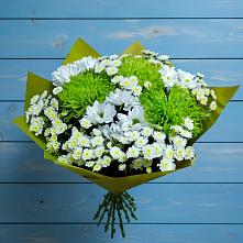 Букет цветов из:  Хризантемы в Пристень