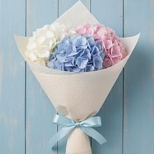 Букет цветов из:  Гортензия в Пристень