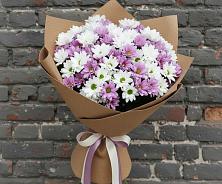 Букет цветов из:  Хризантемы в Пристень