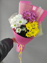 Букет цветов из:  Хризантемы #REPLACE_PRED# Пристень