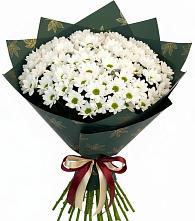 Букет цветов из:  Хризантемы в Пристень