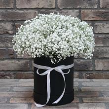 Цветочная композиция из Гипсофила в шляпной коробке в Пристень