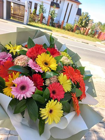 Букет цветов из: Герберы в Пристень