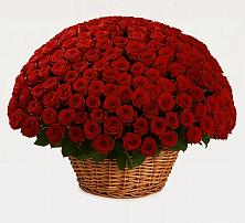 Премиум букет из: Розы в Пристень