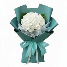 Букет цветов из:  Гортензия #REPLACE_PRED# Пристень